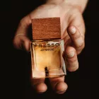 Perfume para coche FRESSOPure Passion (50 ml)