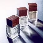 Perfume para coche FRESSO Magnetic Style (50 ml)